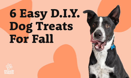 6 Easy D.I.Y. Dog Treats For Fall