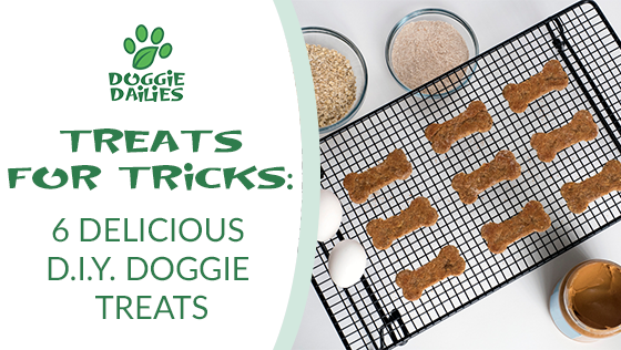 Treats for Tricks: 6 Delicious D.I.Y. Doggie Treats