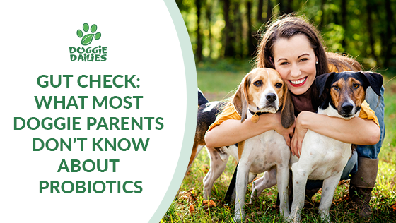 Gut Check: What Most Doggie Parents Don’t Know About Probiotics