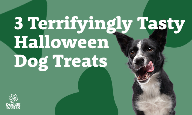 3 Halloween Dog Treat Recipes: Fall Flavors Your Pup Will Love!