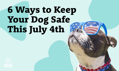 4th of July Dog Safety: 6 Ways to Keep Your Furry Friend Safe