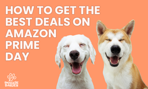 Amazon Prime Day - What You Need To Know To Save BIG!