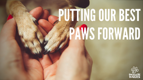 Putting Our Best Paws Forward...
