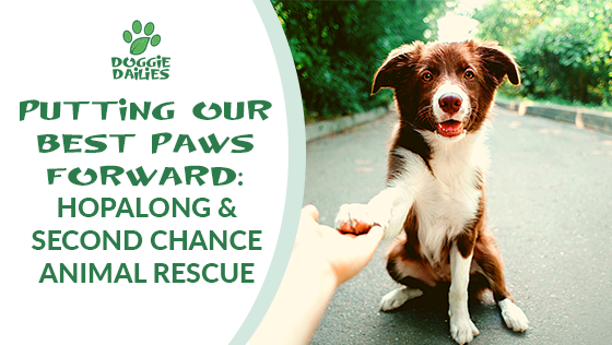 Putting Our Best Paws Forward: Hopalong & Second Chance Animal Rescue
