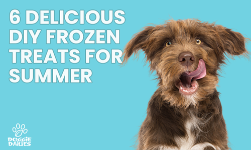 6 Frozen Homemade Dog Treats for Summer