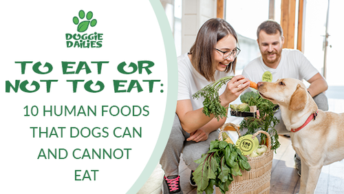 To Eat or Not to Eat: 10 Human Foods that Dogs Can and Cannot Eat