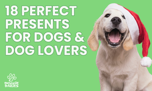 18 Perfect Presents for Dogs & Dog Lovers