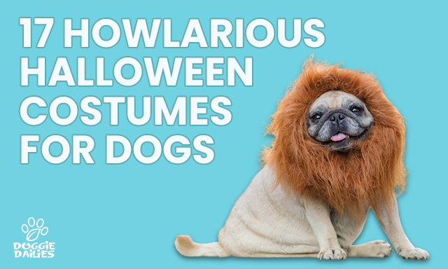 17 Howlarious Halloween Costumes for Dogs
