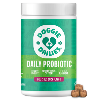 Advanced Probiotics Supplement for Dogs