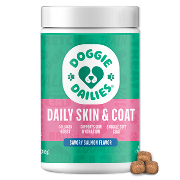 Skin & Coat + Antioxidant Support