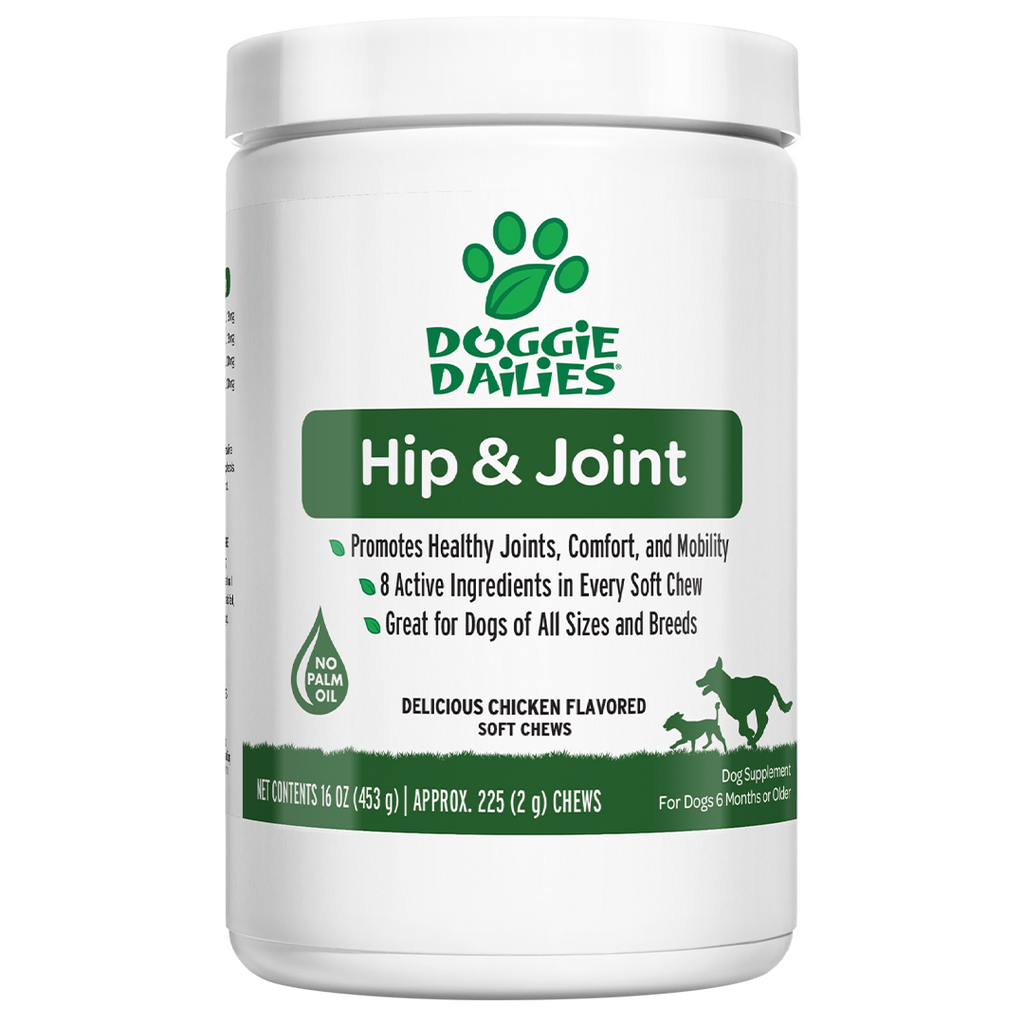 Hip & Joint Support