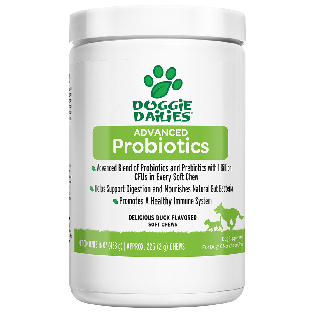 Doggie dailies hotsell probiotics for dogs
