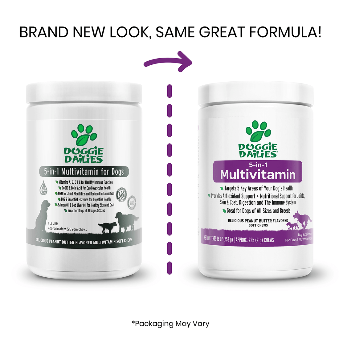5in1 Multivitamin for Dogs Best Multivitamin for Dogs Doggie Dailies